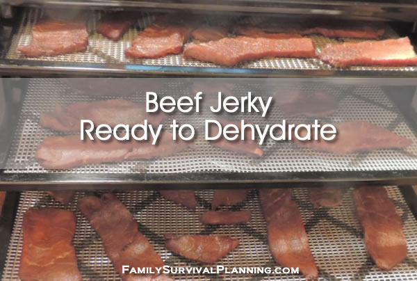 How to Make Homemade Jerky (2023) - 1898 Mama