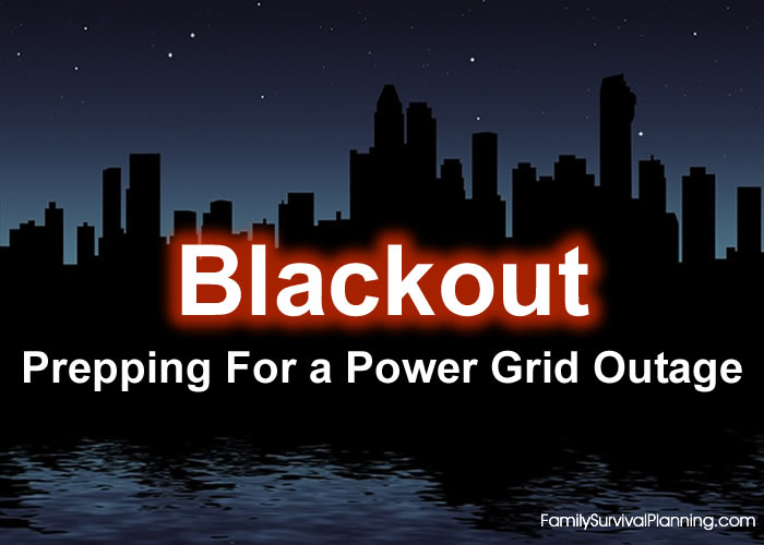Will You Survive the Next Power Grid Outage?